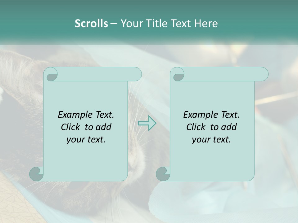 A Cat Laying On Top Of A Blue Bag PowerPoint Template