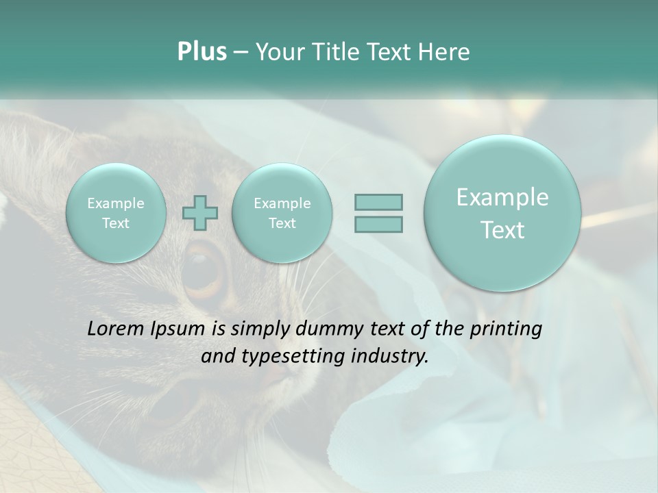 A Cat Laying On Top Of A Blue Bag PowerPoint Template