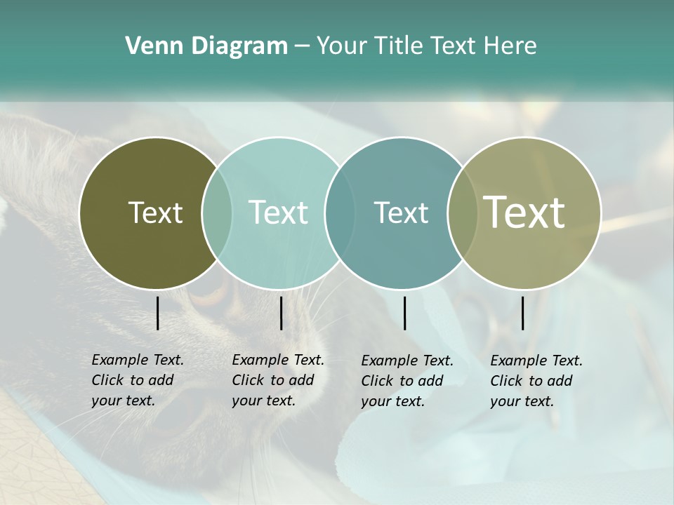 A Cat Laying On Top Of A Blue Bag PowerPoint Template