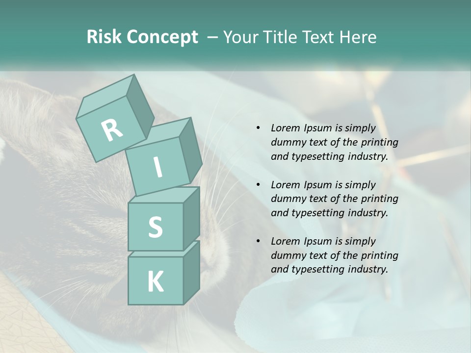 A Cat Laying On Top Of A Blue Bag PowerPoint Template