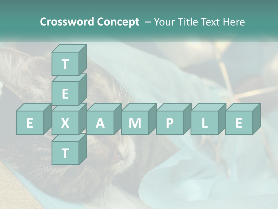 A Cat Laying On Top Of A Blue Bag PowerPoint Template