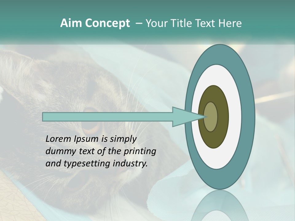 A Cat Laying On Top Of A Blue Bag PowerPoint Template