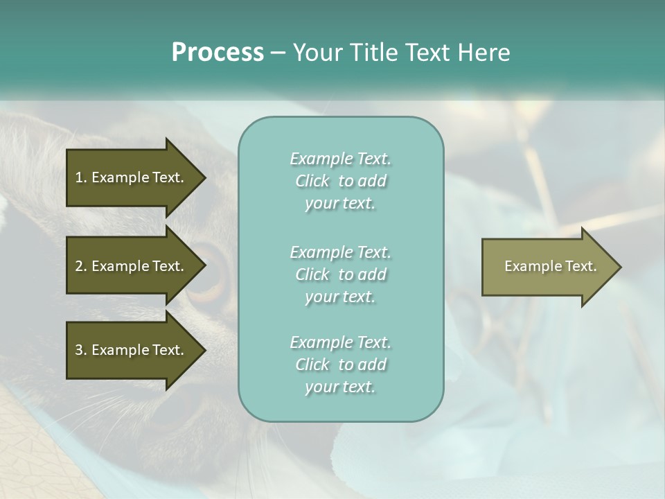 A Cat Laying On Top Of A Blue Bag PowerPoint Template