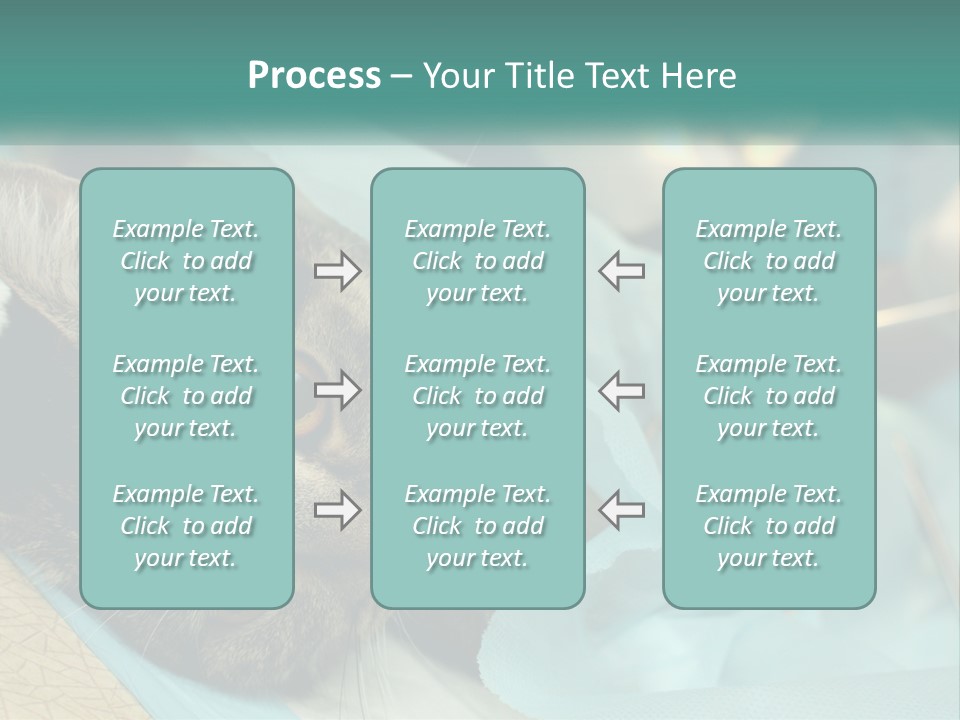 A Cat Laying On Top Of A Blue Bag PowerPoint Template