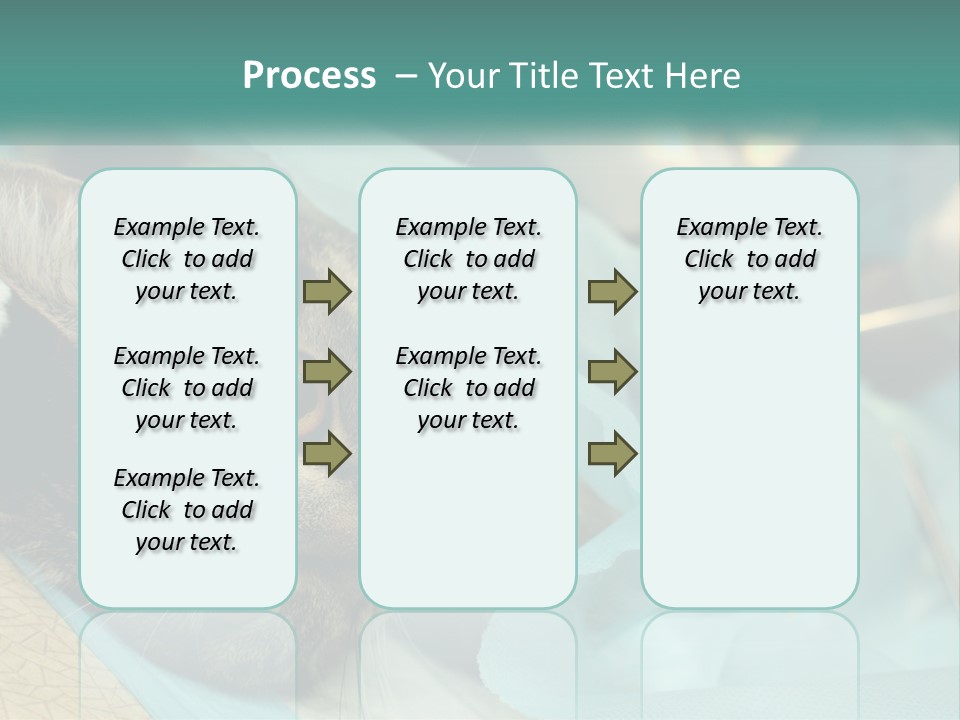 A Cat Laying On Top Of A Blue Bag PowerPoint Template