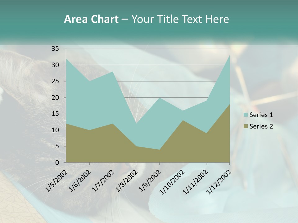 A Cat Laying On Top Of A Blue Bag PowerPoint Template