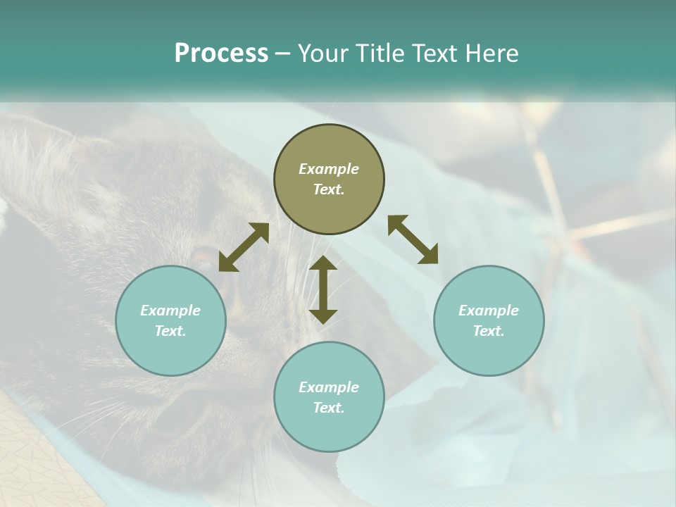 A Cat Laying On Top Of A Blue Bag PowerPoint Template