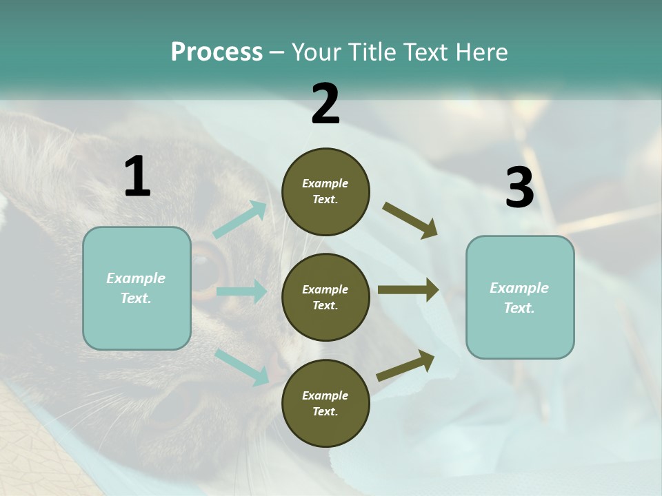 A Cat Laying On Top Of A Blue Bag PowerPoint Template