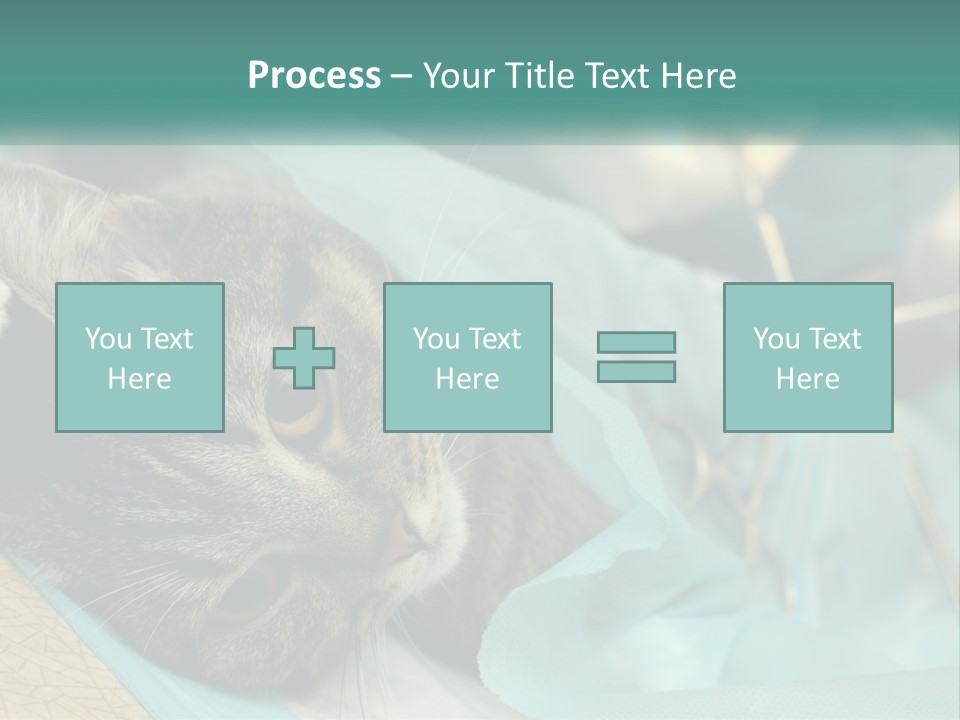 A Cat Laying On Top Of A Blue Bag PowerPoint Template