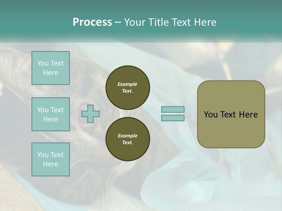 A Cat Laying On Top Of A Blue Bag PowerPoint Template