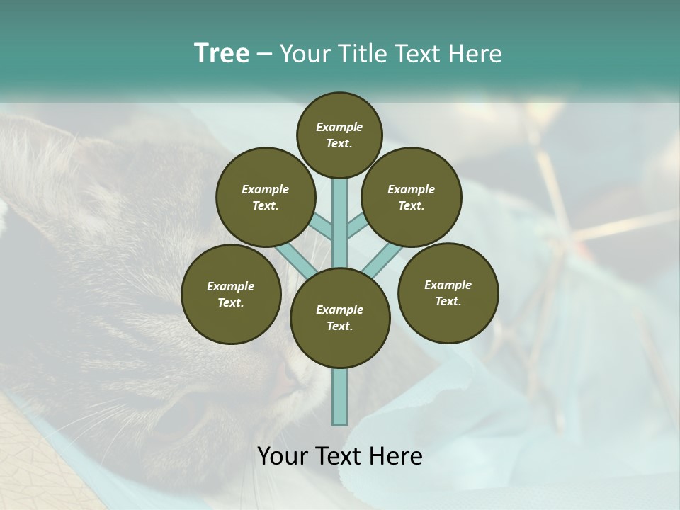 A Cat Laying On Top Of A Blue Bag PowerPoint Template