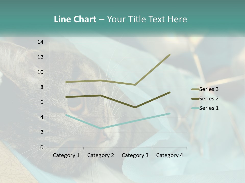 A Cat Laying On Top Of A Blue Bag PowerPoint Template
