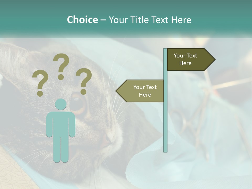 A Cat Laying On Top Of A Blue Bag PowerPoint Template