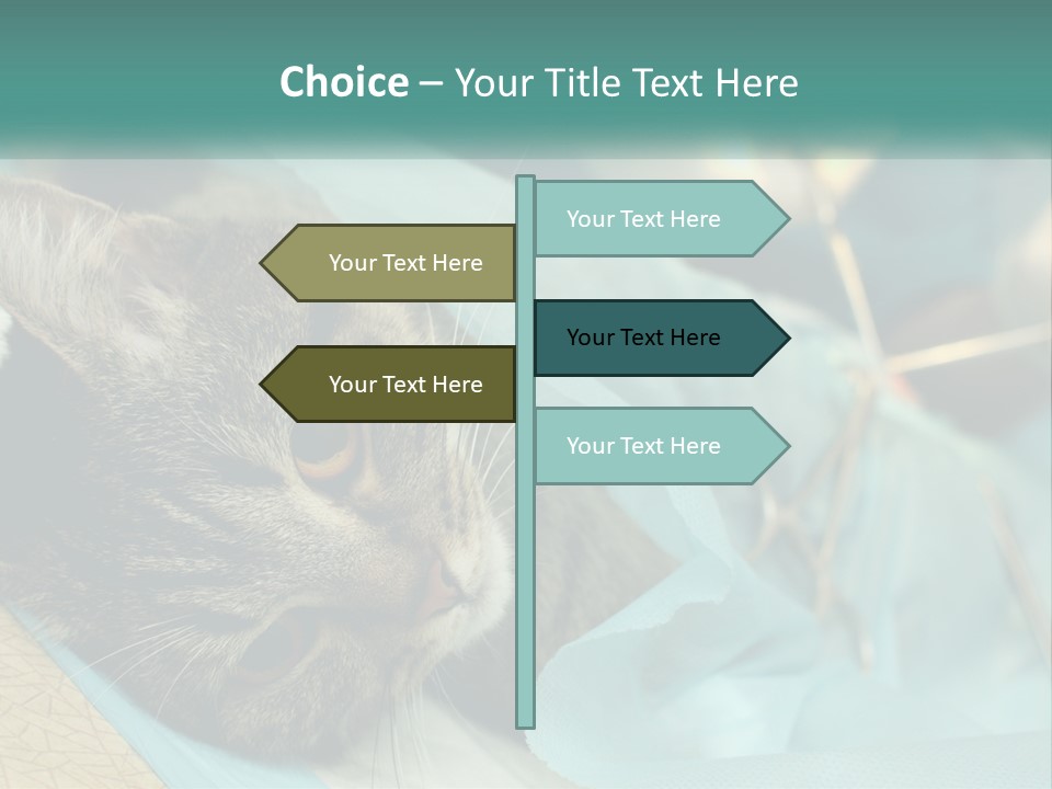 A Cat Laying On Top Of A Blue Bag PowerPoint Template