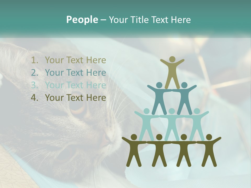 A Cat Laying On Top Of A Blue Bag PowerPoint Template