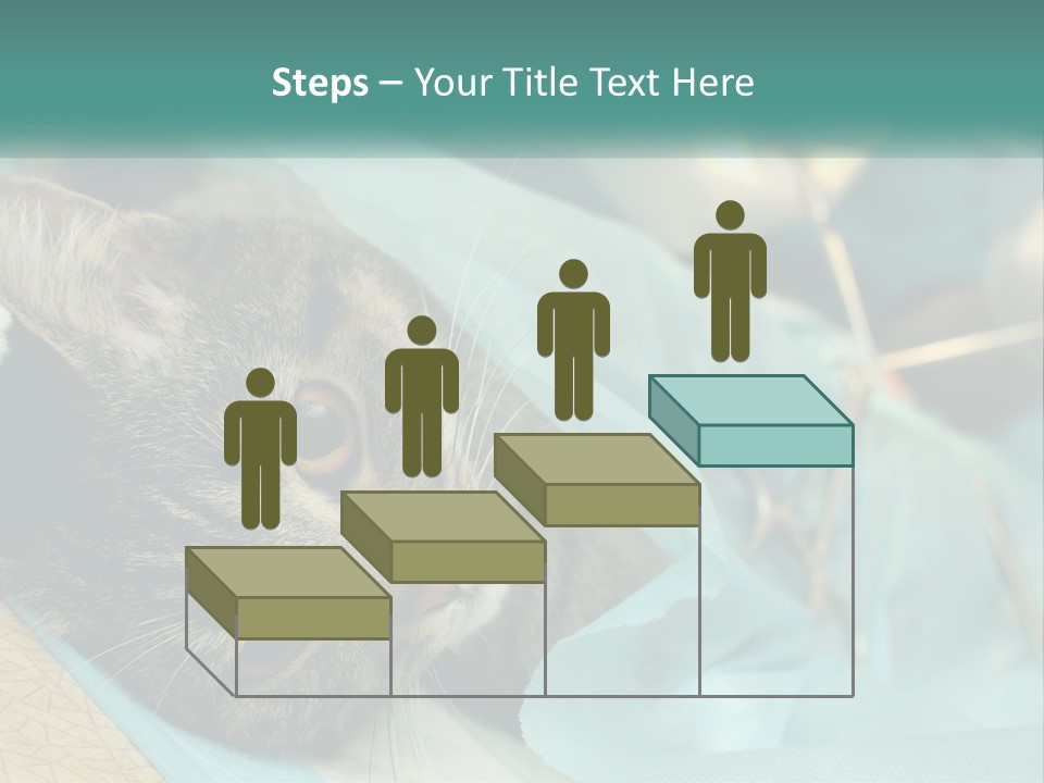 A Cat Laying On Top Of A Blue Bag PowerPoint Template