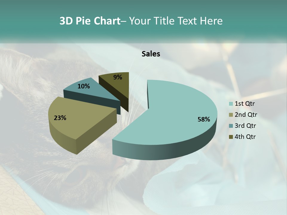 A Cat Laying On Top Of A Blue Bag PowerPoint Template