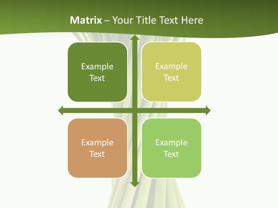 A Bunch Of Green Onions On A White Background PowerPoint Template