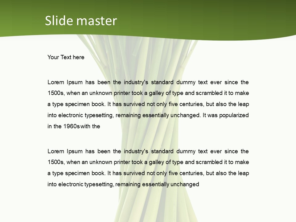 A Bunch Of Green Onions On A White Background PowerPoint Template