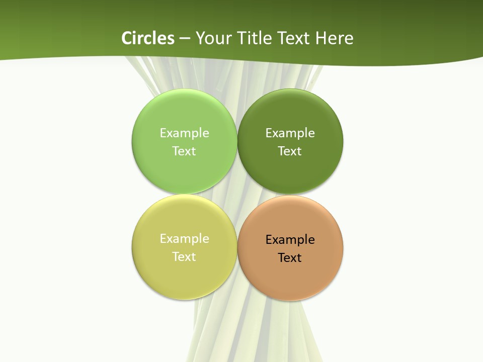 A Bunch Of Green Onions On A White Background PowerPoint Template