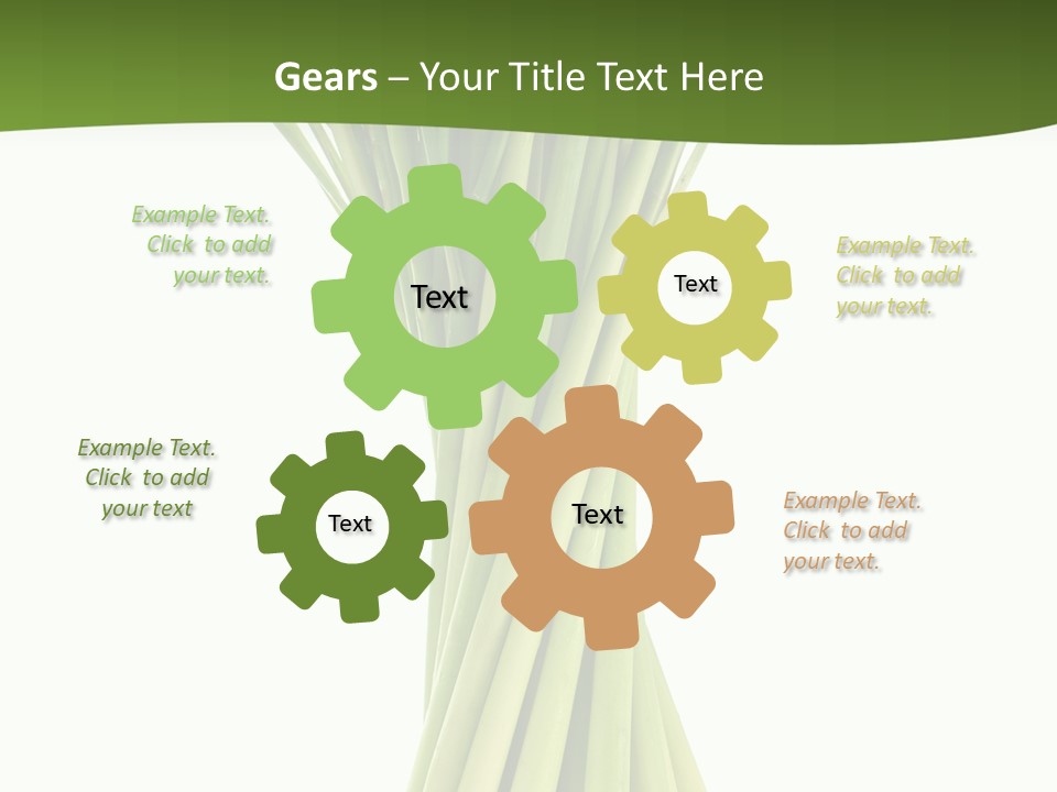 A Bunch Of Green Onions On A White Background PowerPoint Template