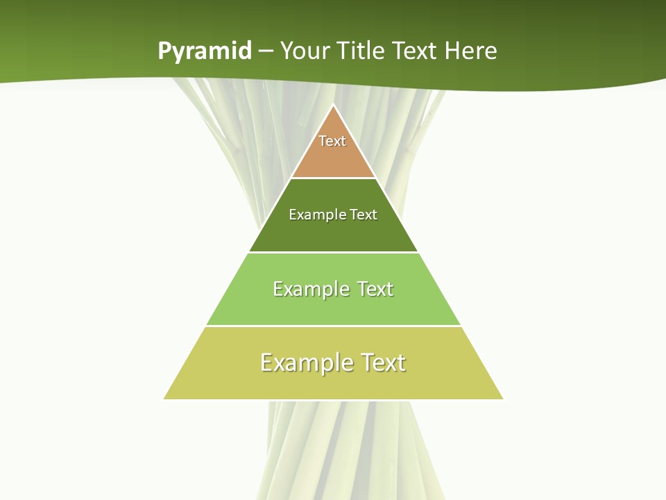 A Bunch Of Green Onions On A White Background PowerPoint Template