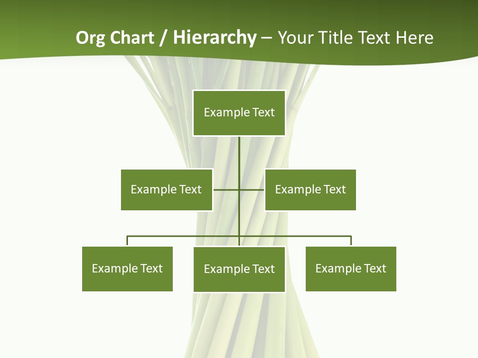 A Bunch Of Green Onions On A White Background PowerPoint Template