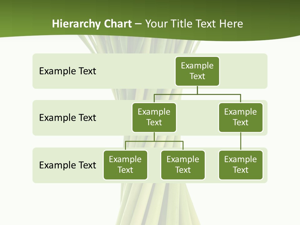 A Bunch Of Green Onions On A White Background PowerPoint Template