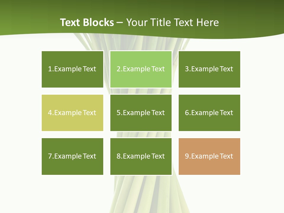 A Bunch Of Green Onions On A White Background PowerPoint Template