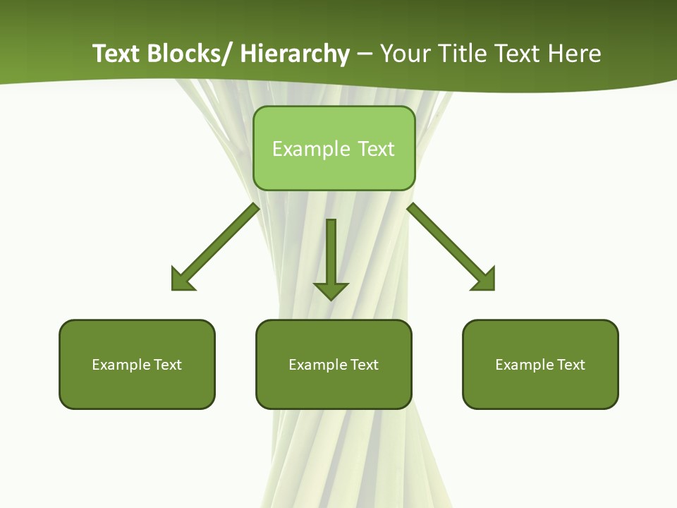 A Bunch Of Green Onions On A White Background PowerPoint Template