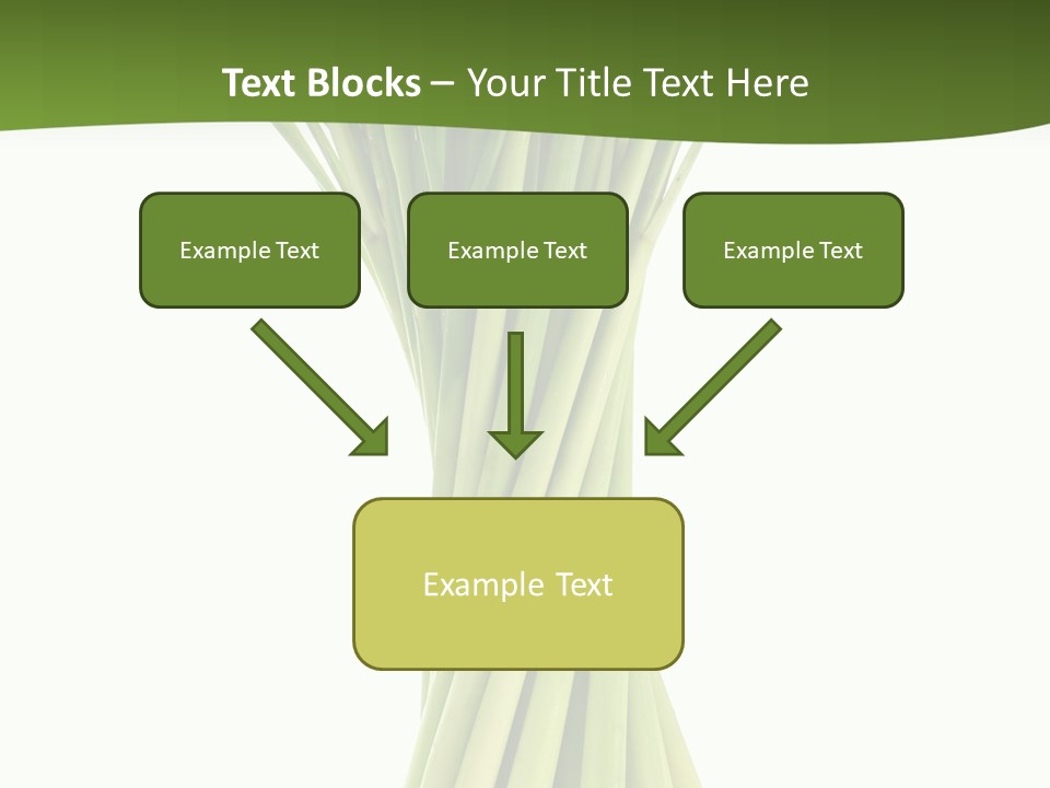 A Bunch Of Green Onions On A White Background PowerPoint Template