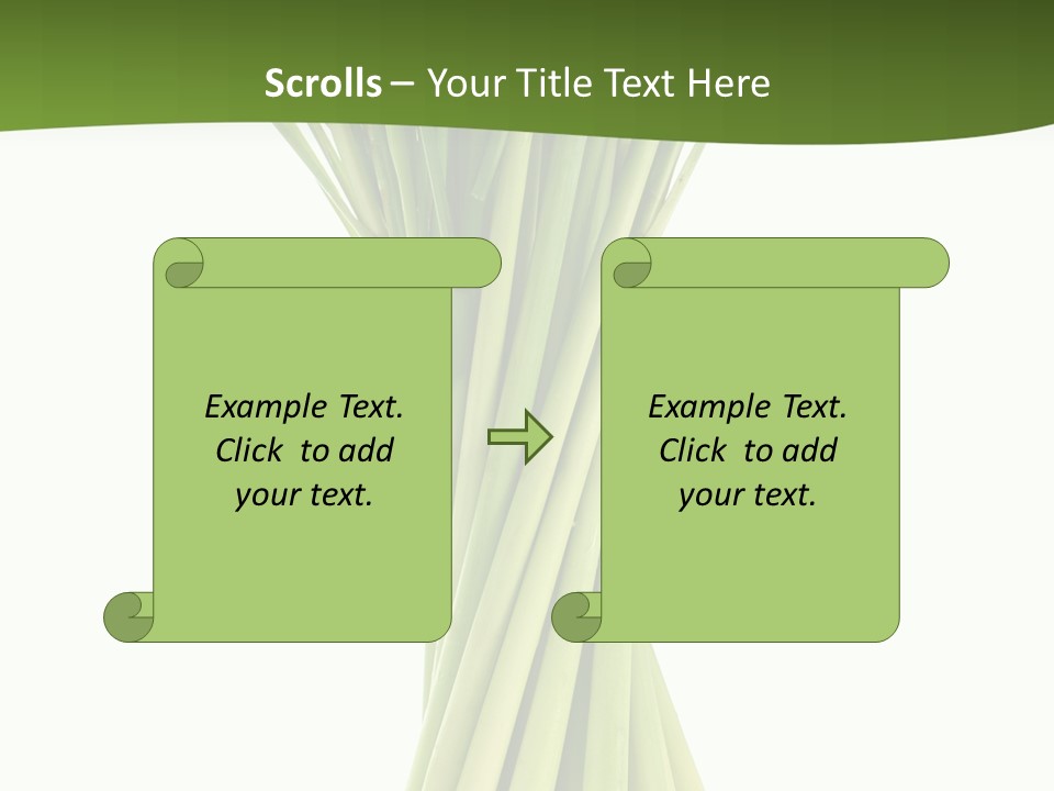 A Bunch Of Green Onions On A White Background PowerPoint Template