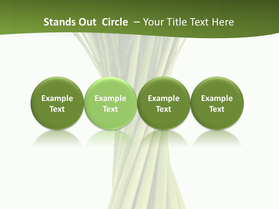 A Bunch Of Green Onions On A White Background PowerPoint Template