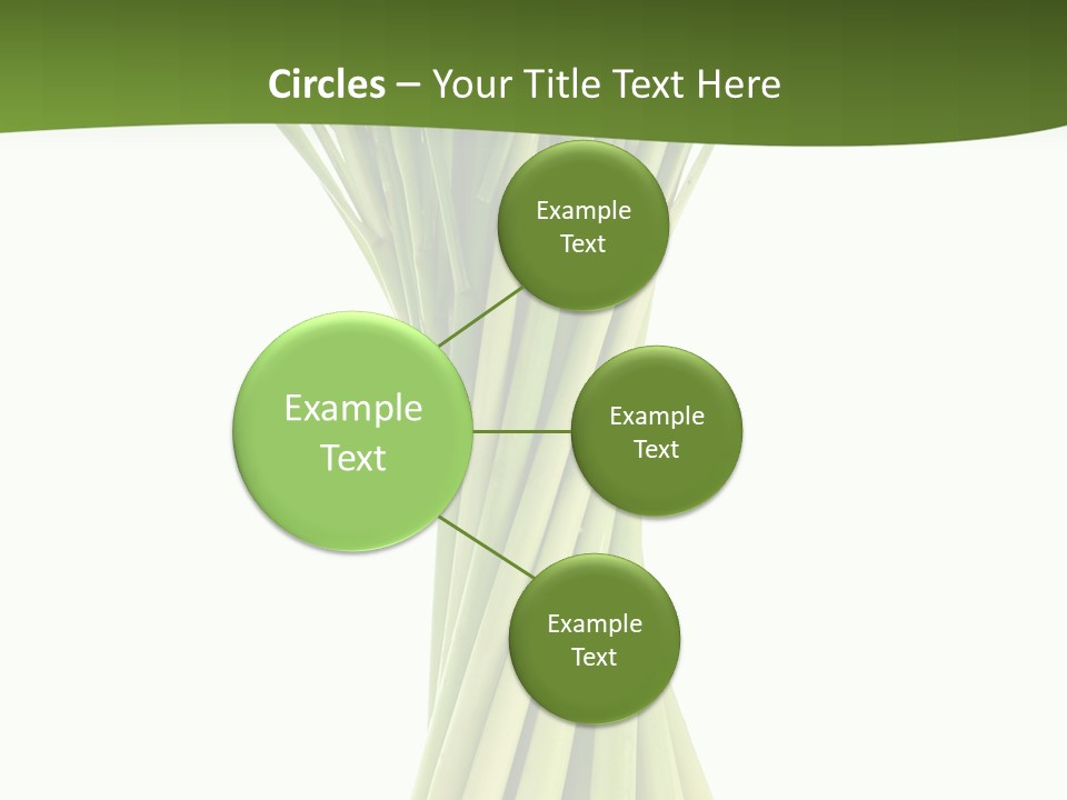 A Bunch Of Green Onions On A White Background PowerPoint Template