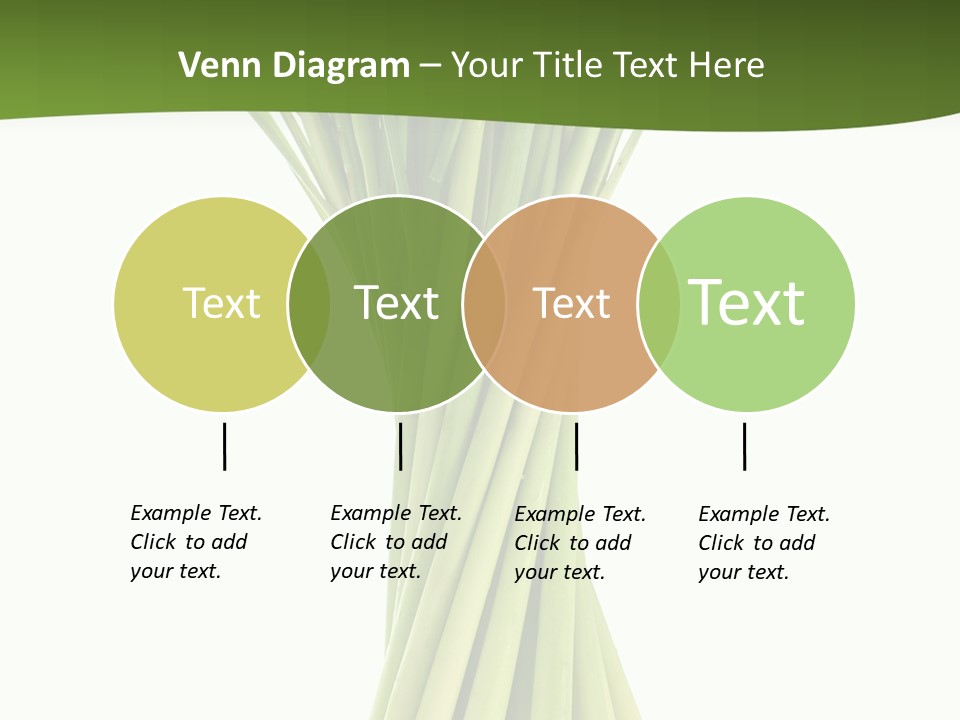 A Bunch Of Green Onions On A White Background PowerPoint Template