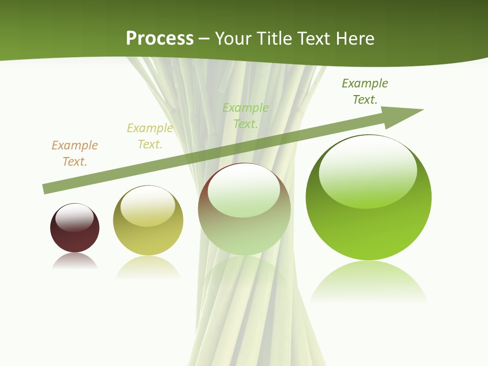 A Bunch Of Green Onions On A White Background PowerPoint Template