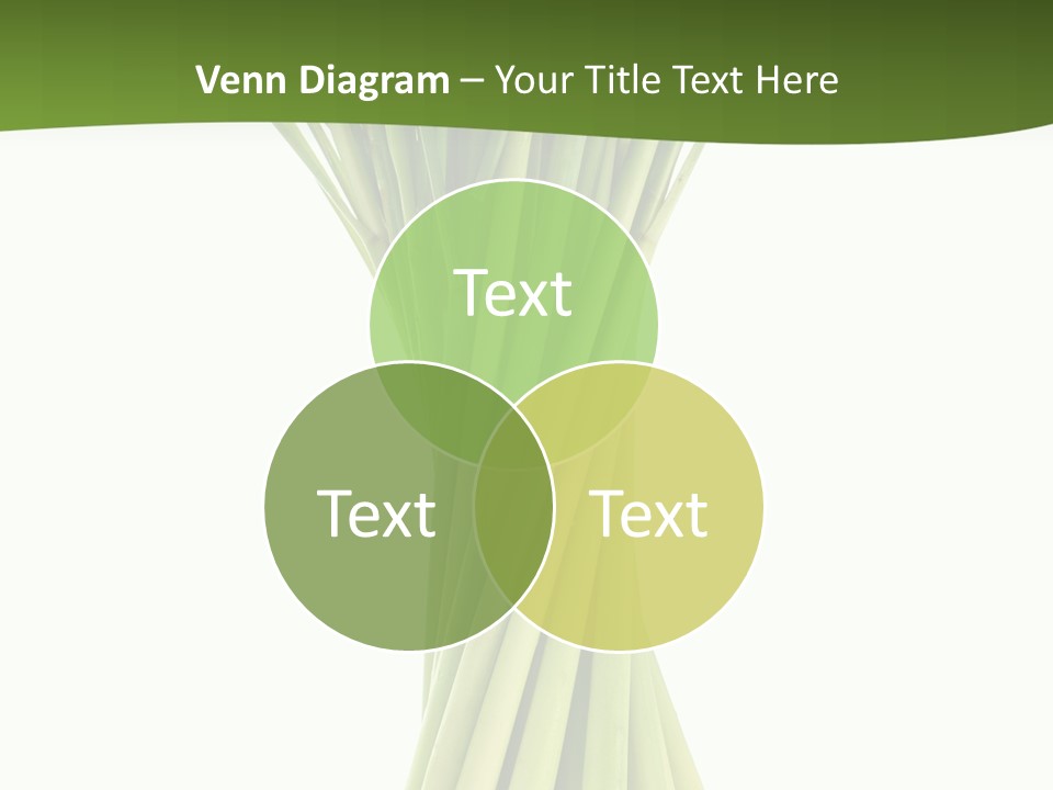 A Bunch Of Green Onions On A White Background PowerPoint Template