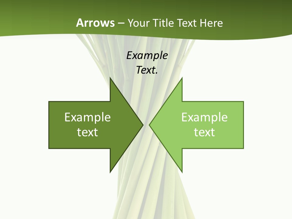 A Bunch Of Green Onions On A White Background PowerPoint Template