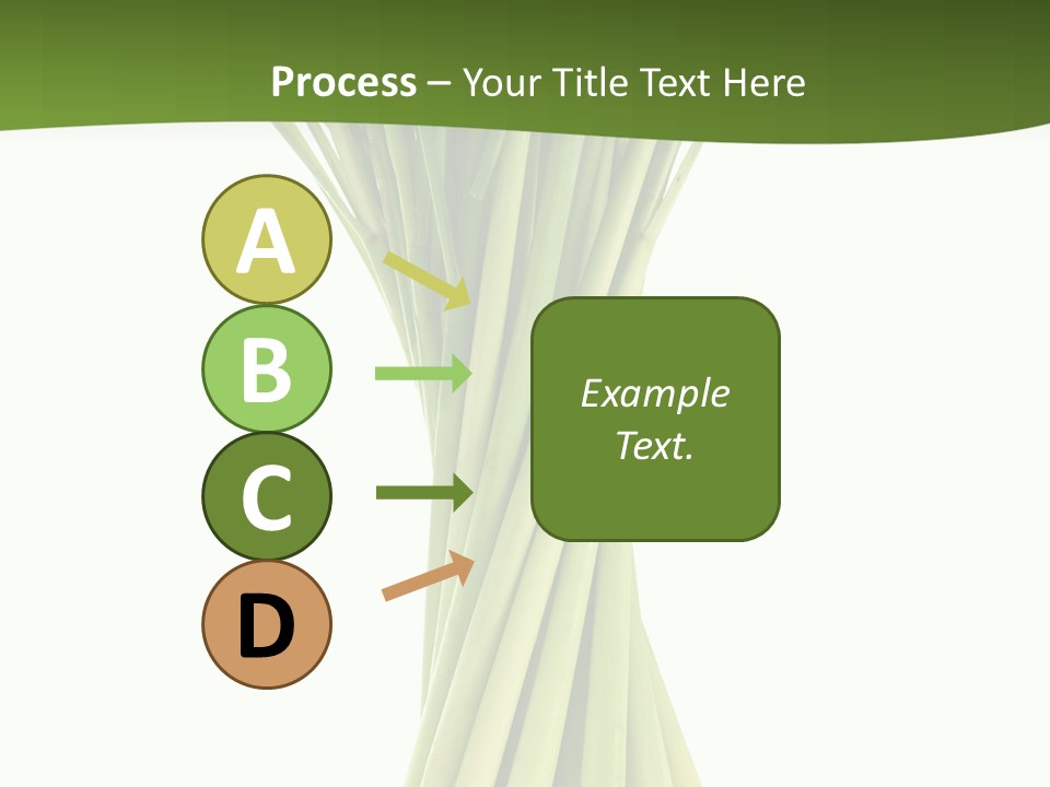 A Bunch Of Green Onions On A White Background PowerPoint Template