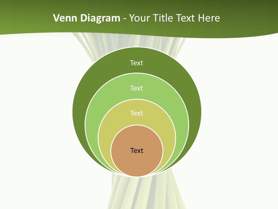A Bunch Of Green Onions On A White Background PowerPoint Template