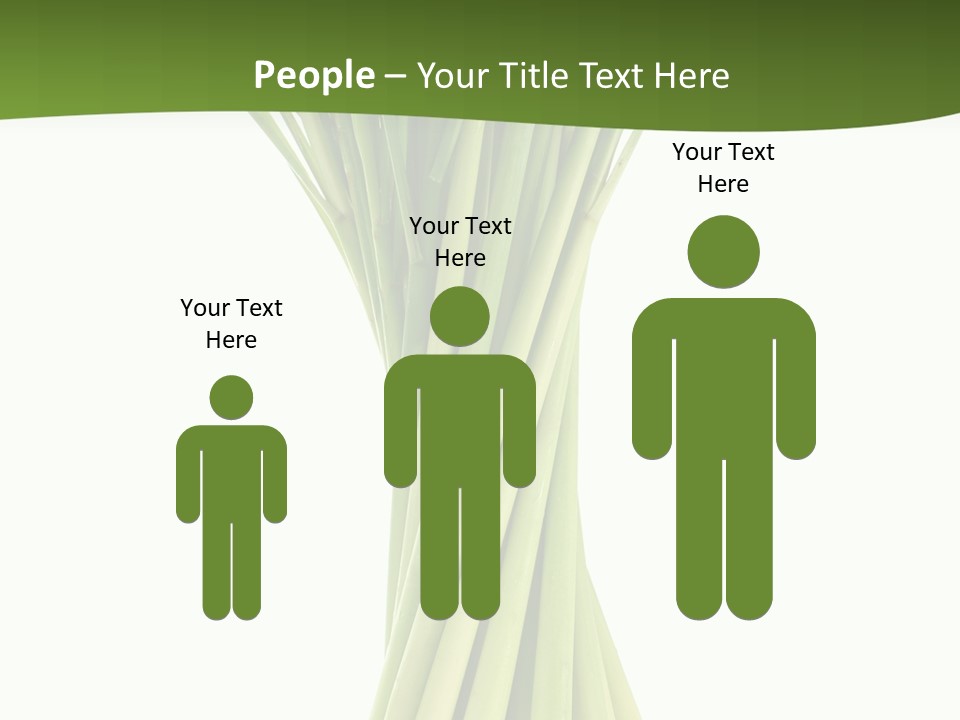 A Bunch Of Green Onions On A White Background PowerPoint Template