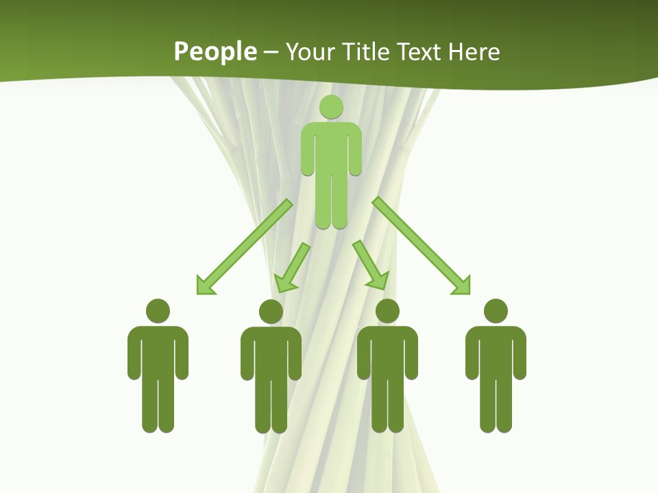 A Bunch Of Green Onions On A White Background PowerPoint Template