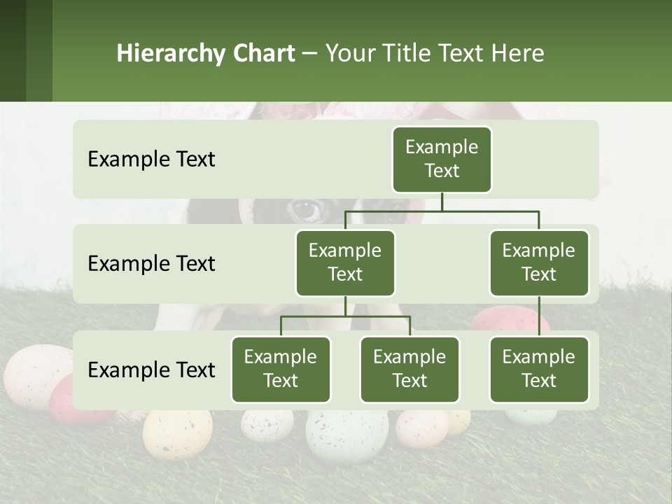 A Small Dog Wearing A Pink Bunny Costume PowerPoint Template