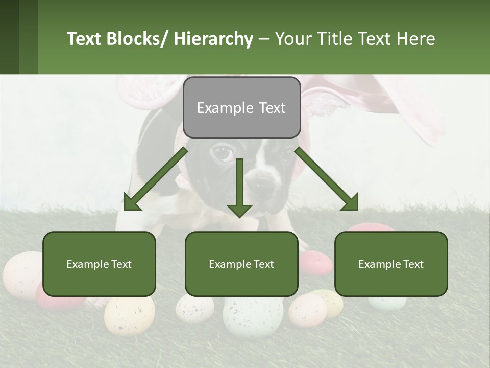 A Small Dog Wearing A Pink Bunny Costume PowerPoint Template