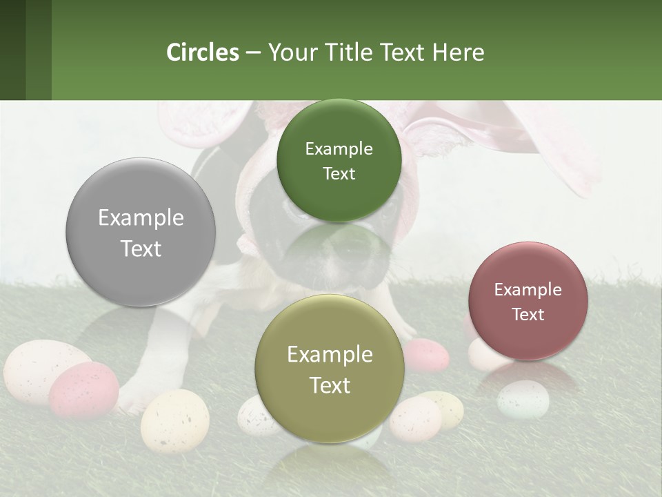 A Small Dog Wearing A Pink Bunny Costume PowerPoint Template