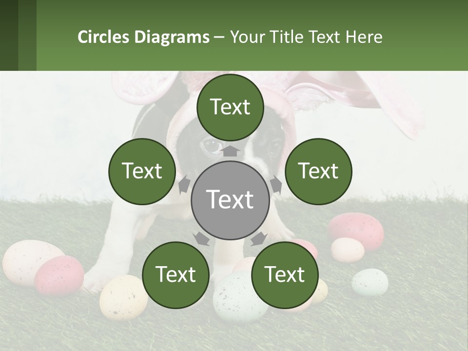 A Small Dog Wearing A Pink Bunny Costume PowerPoint Template