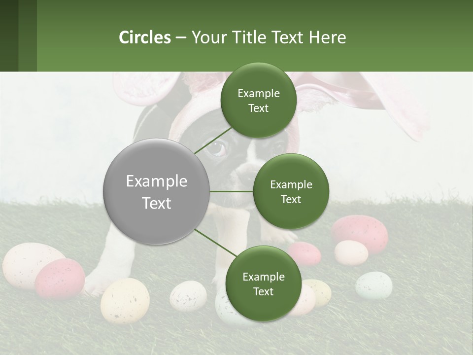 A Small Dog Wearing A Pink Bunny Costume PowerPoint Template