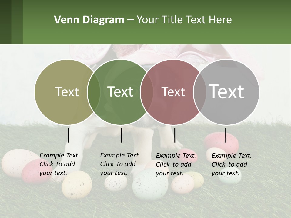 A Small Dog Wearing A Pink Bunny Costume PowerPoint Template