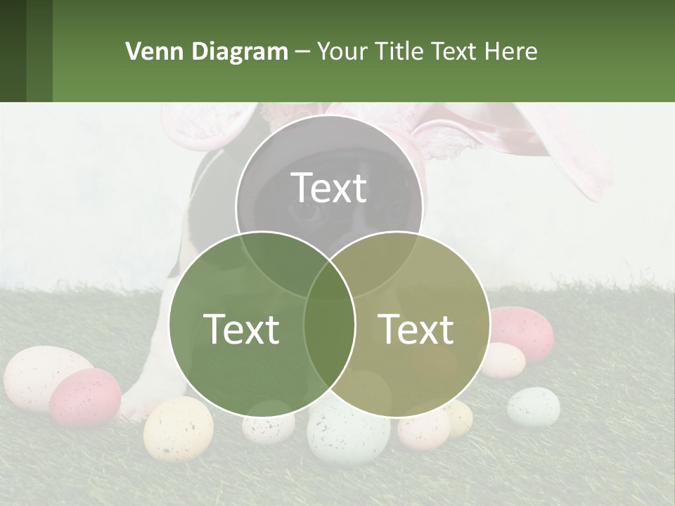 A Small Dog Wearing A Pink Bunny Costume PowerPoint Template