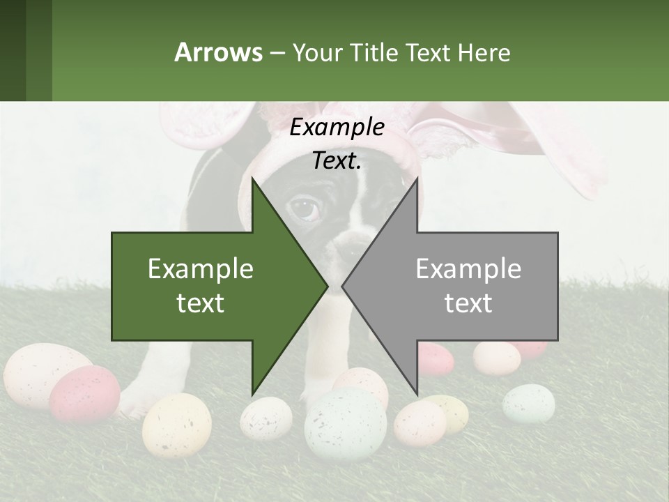 A Small Dog Wearing A Pink Bunny Costume PowerPoint Template